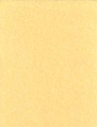 Light Parchment Paper 25 Pack  (8 1/2" x 11")